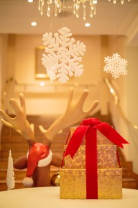 CHRISTMAS ENTERTAINMENT